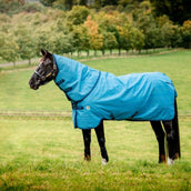 Amigo Turnout Hero 900 Revive Plus 200g