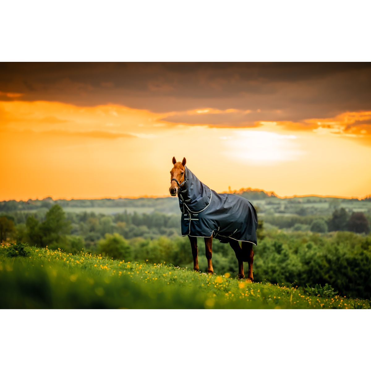 Amigo Ripstop 900D Plus Pony 200g Marina di Witney