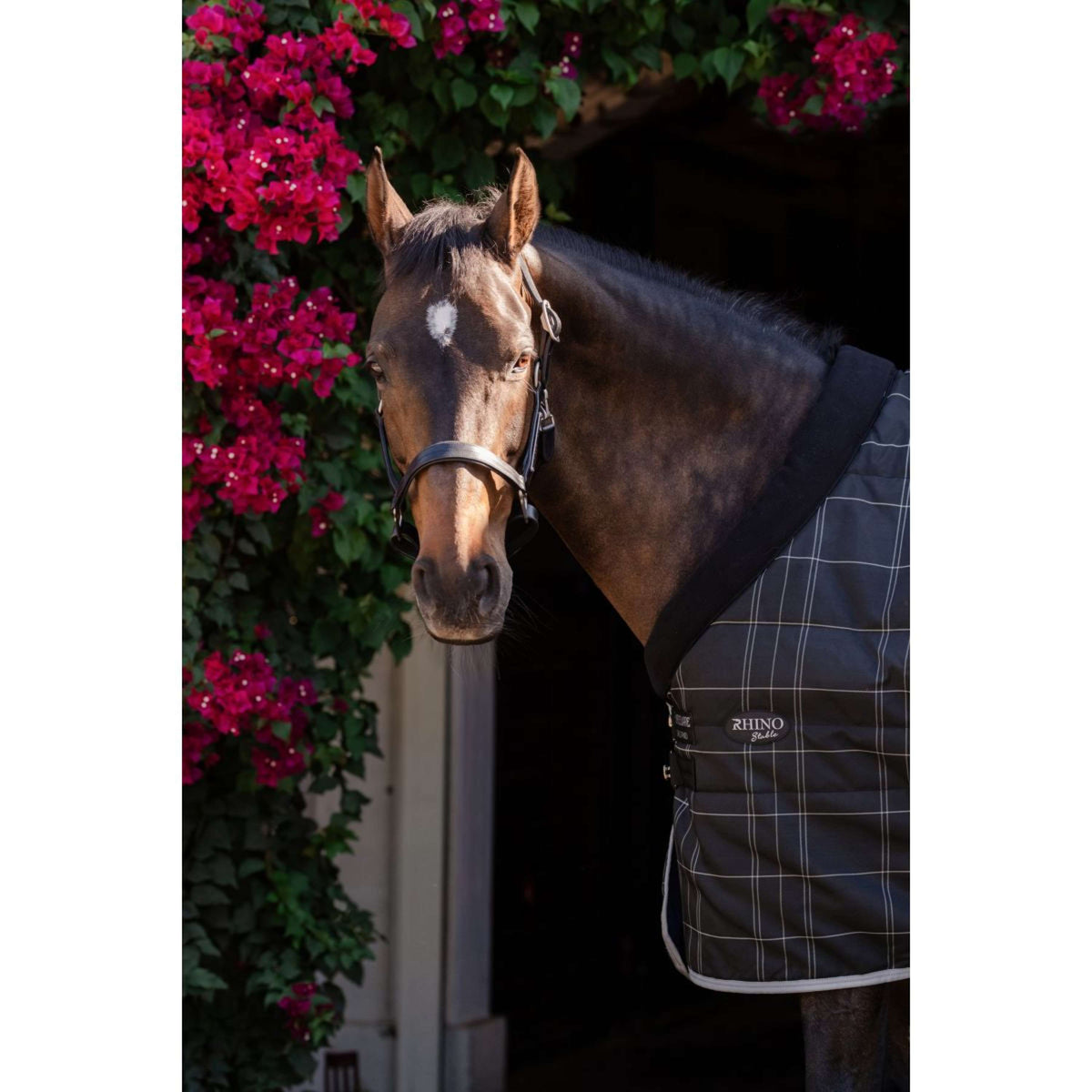 Rhino Pony Stable 100g Black/Grey/White Check/Gray