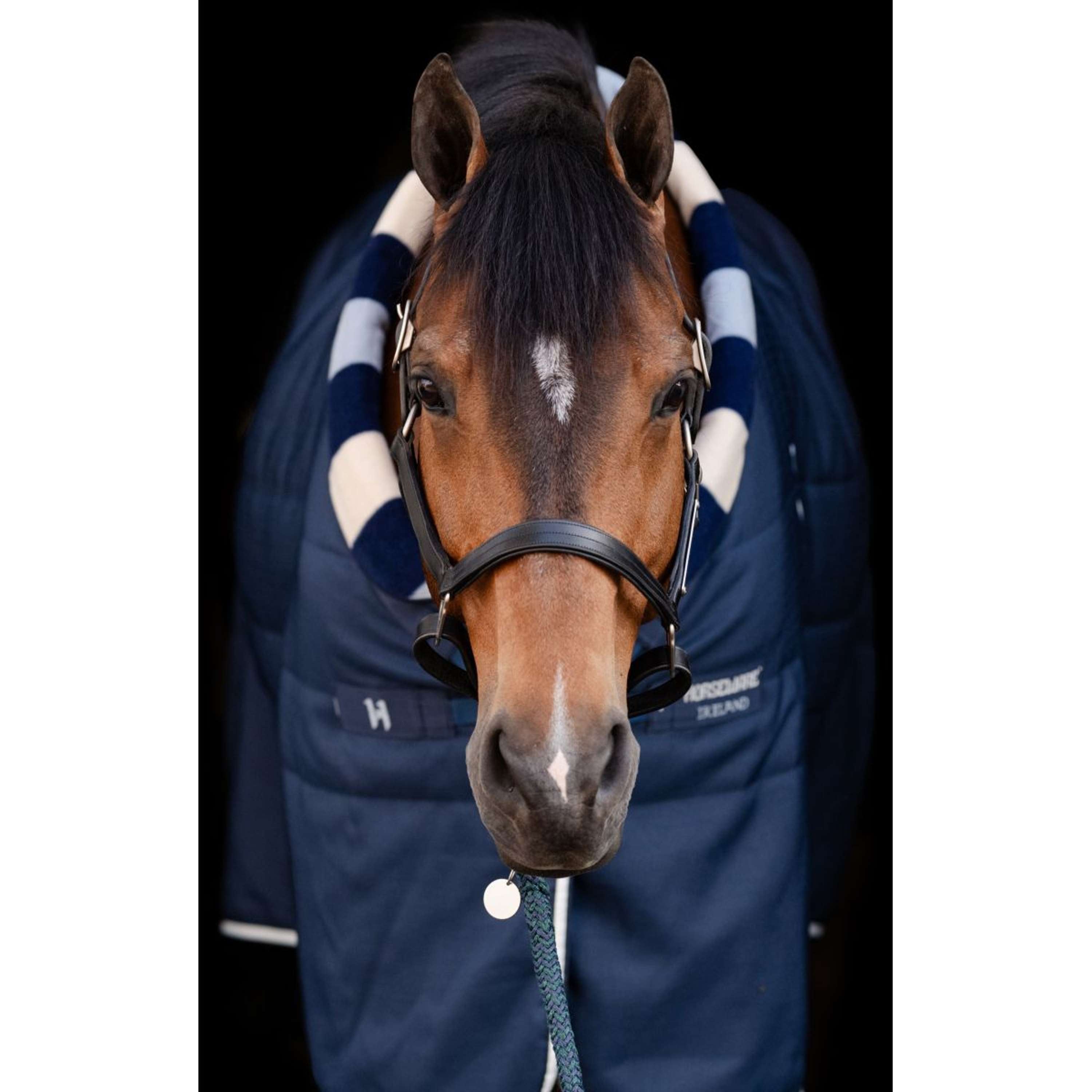 Horseware Cosy Stable Newmarket 400g Marina di Witney