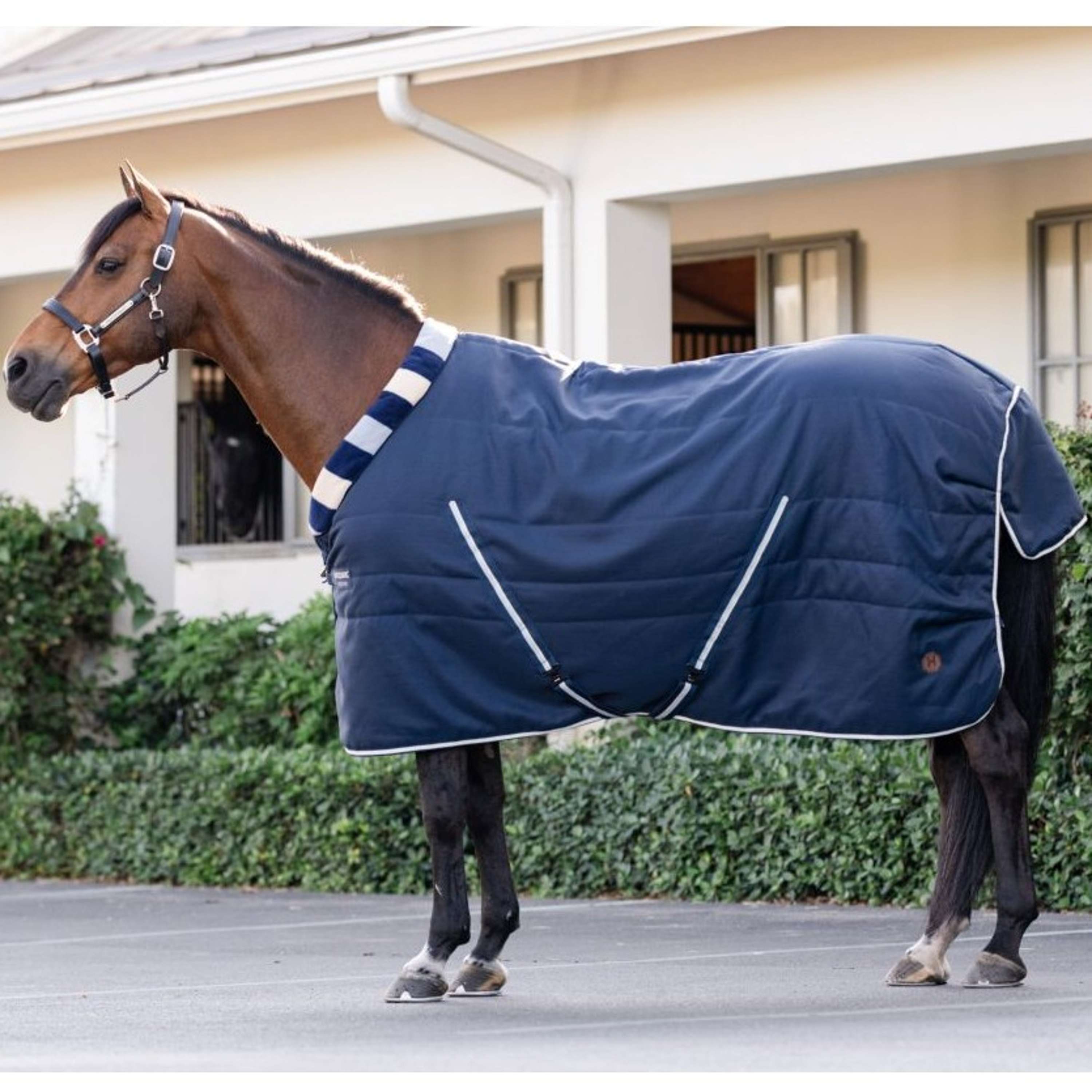Horseware Cosy Stable Newmarket 400g Marina di Witney