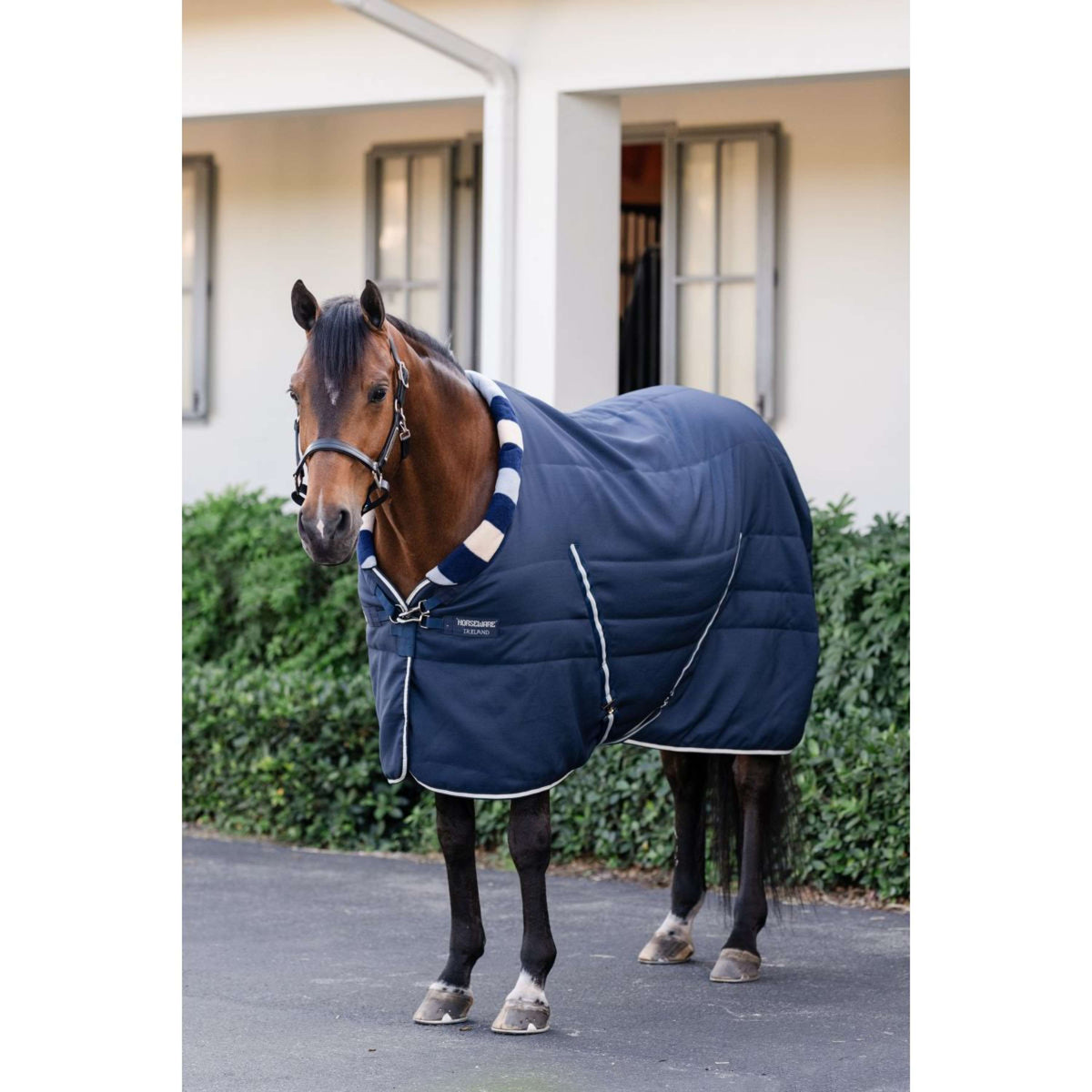 Horseware Cosy Stable Newmarket 400g Marina di Witney