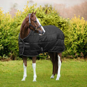 Amigo Liner Diamond Insulator 100g Nero Argento