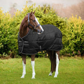 Amigo Liner Diamond Insulator 200g Nero Argento