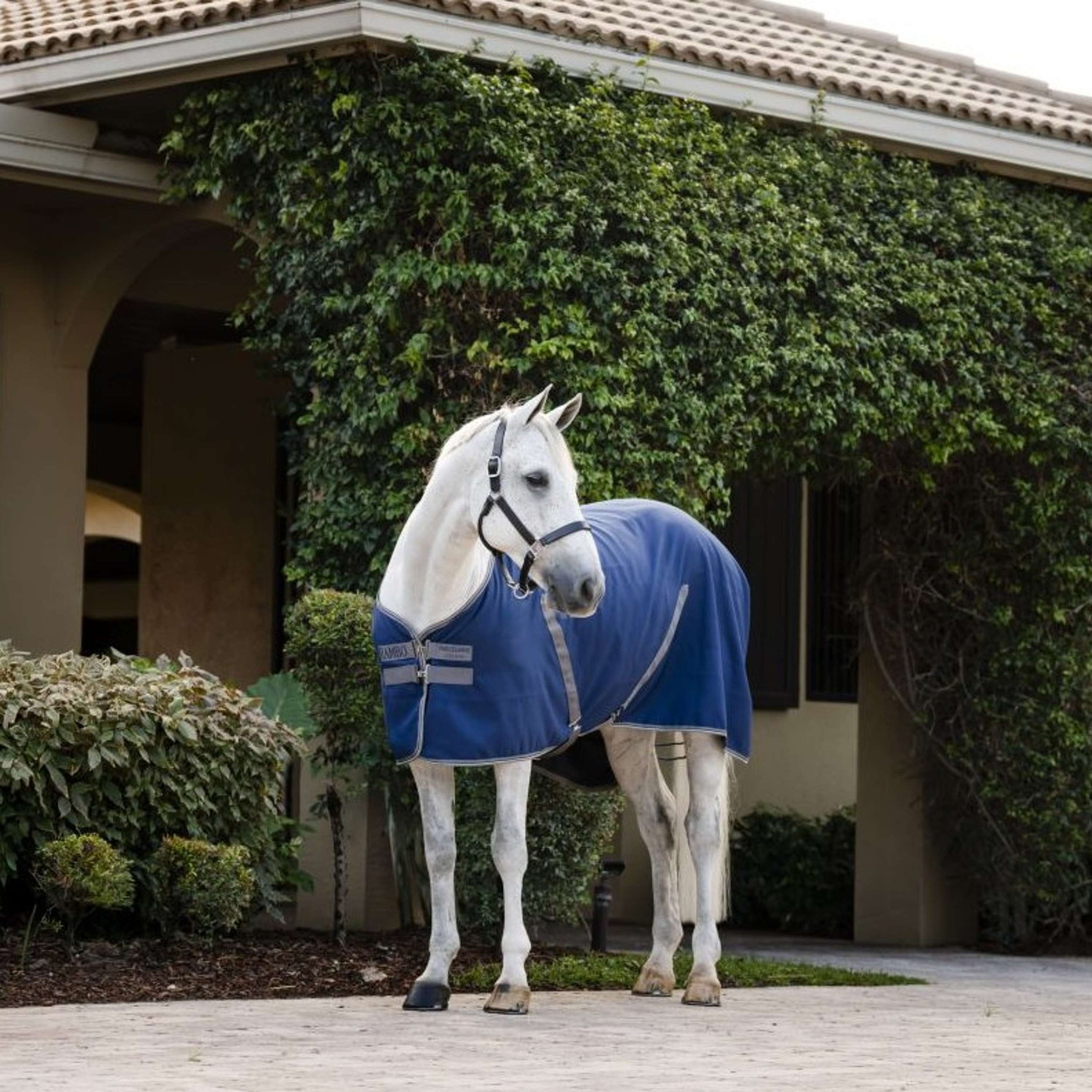 Rambo Stable Sheet Navy/Thunderstorm Grey/Silver Rambo Stable Sheet Navy/Thunderstorm Grey/Silver