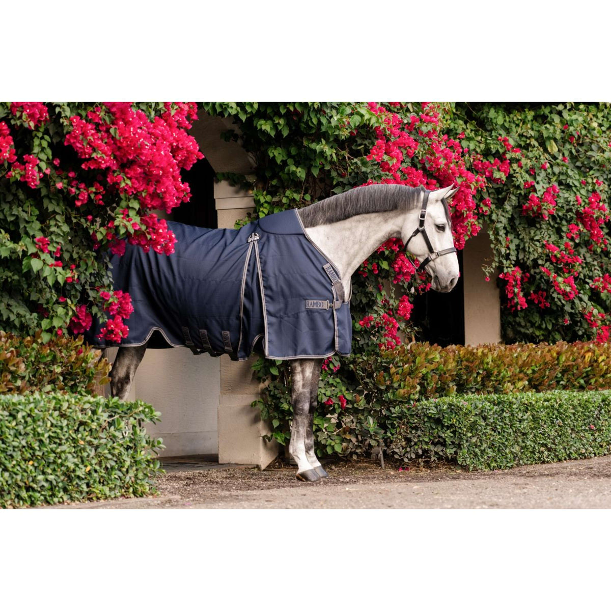 Rambo Optimo Coperta da scuderia New Navy/Thunderstorm Grey/Silver