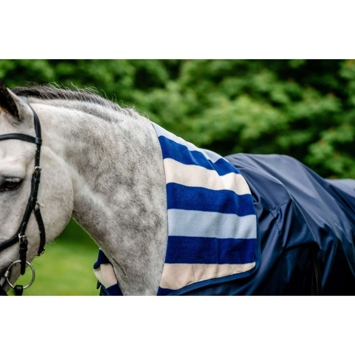 Horseware Coprireni impermeabile Newmarket Marina di Witney