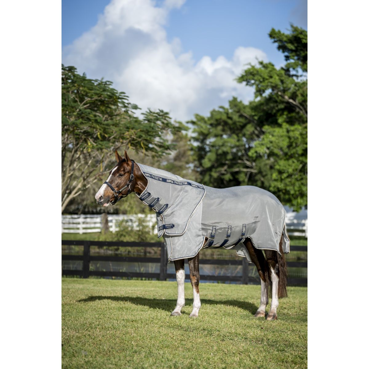 Rambo Protettore Fieldsafe Plus Argento/Blu scuro/Bianco/Beige