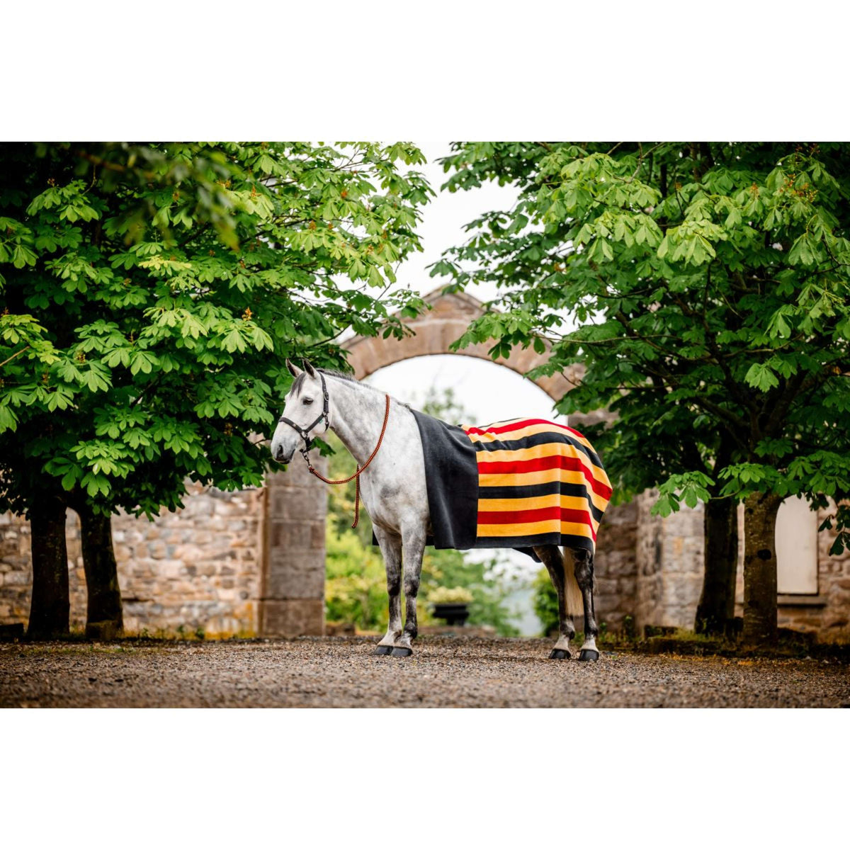 Horseware Coperta in Pile Newmarket Witney Gold