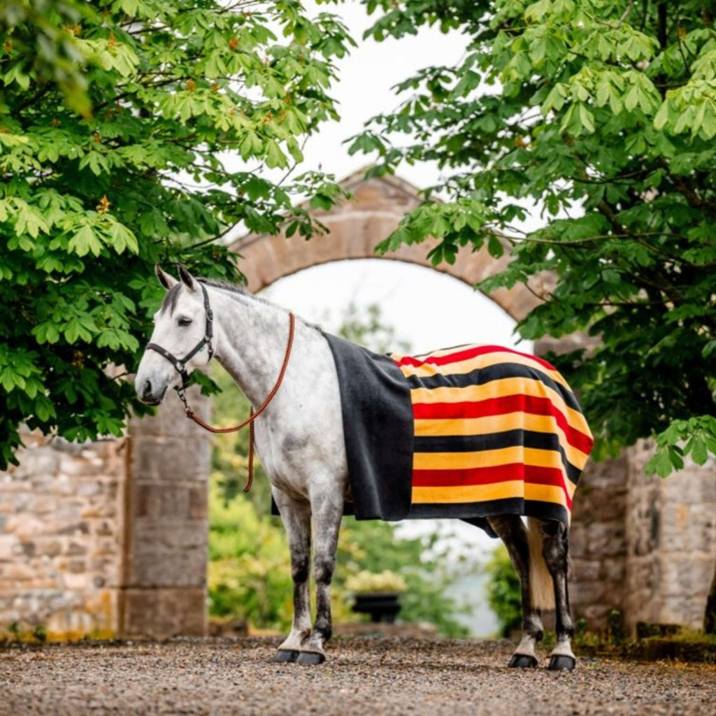 Horseware Coperta in Pile Newmarket Witney Gold
