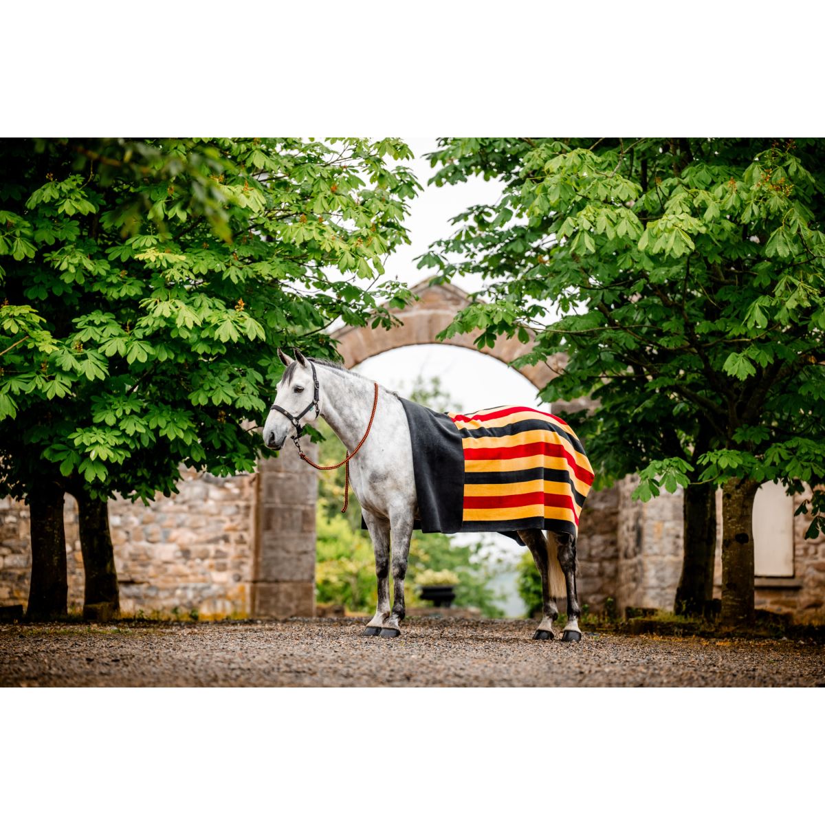 Horseware Coperta in Pile Newmarket Witney Gold