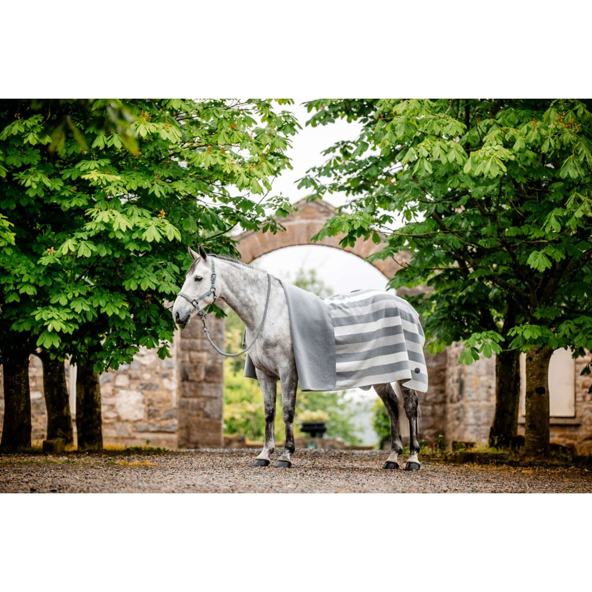 Horseware Coperta in Pile Newmarket Witney Charcoal