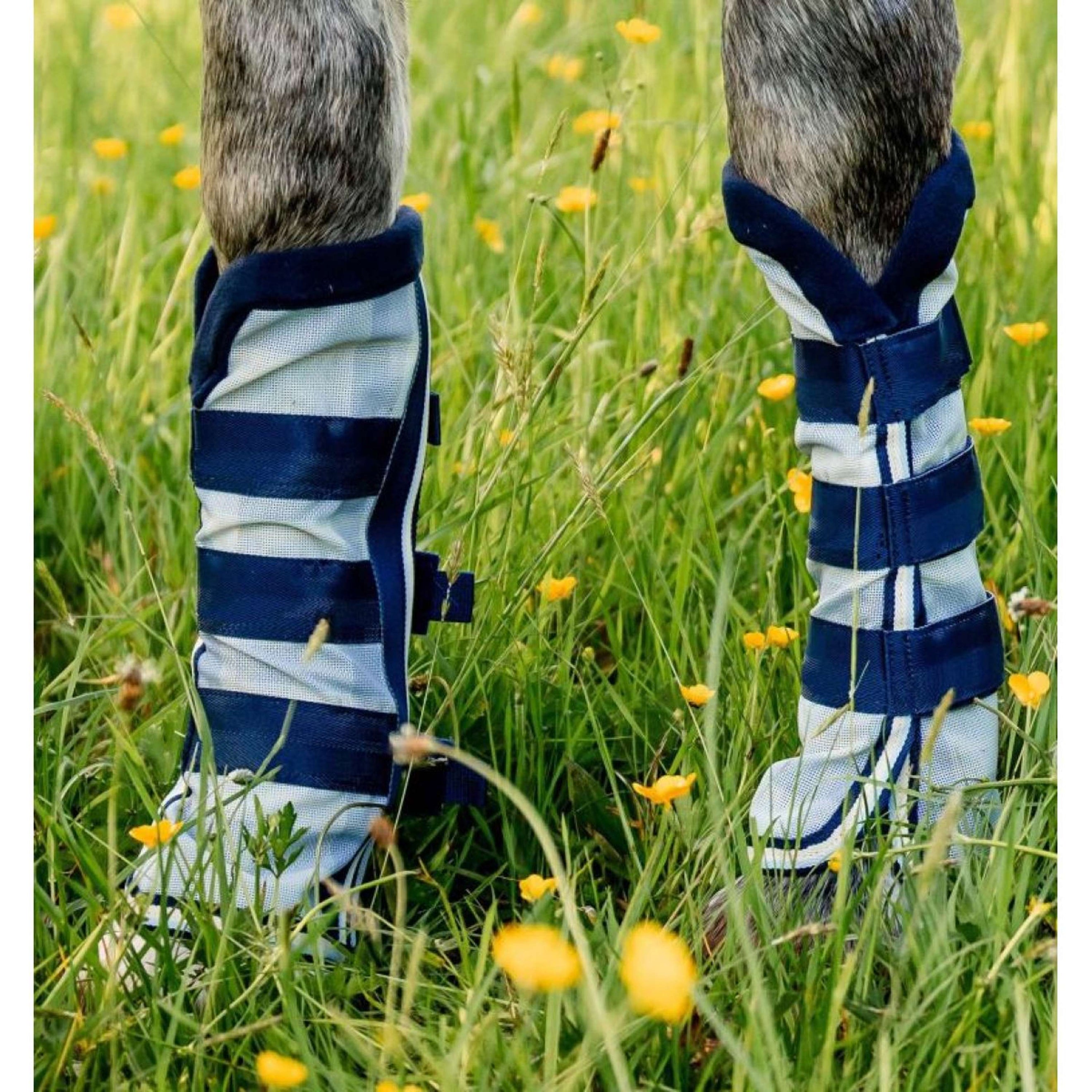 Horseware Stivali da mosca Newmarket Marina di Witney Horseware Stivali da mosca Newmarket Marina di Witney