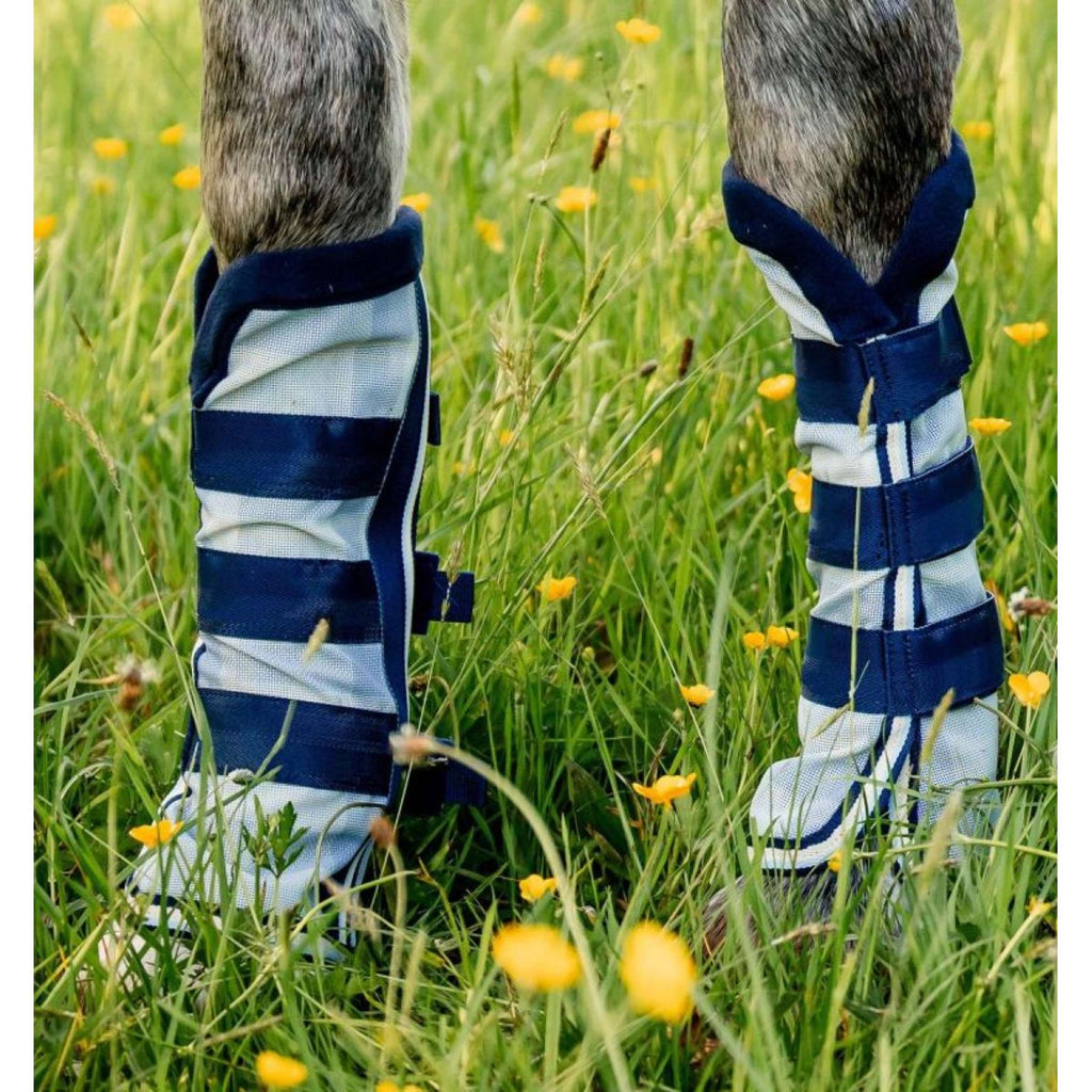 Horseware Stivali da mosca Newmarket Marina di Witney