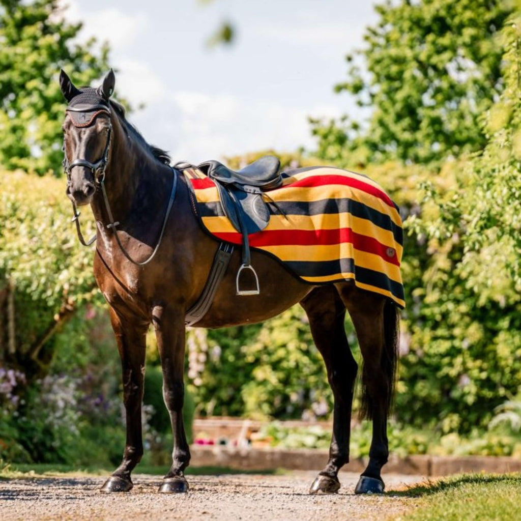 Horseware Coperta da esercizio Newmarket Witney Gold