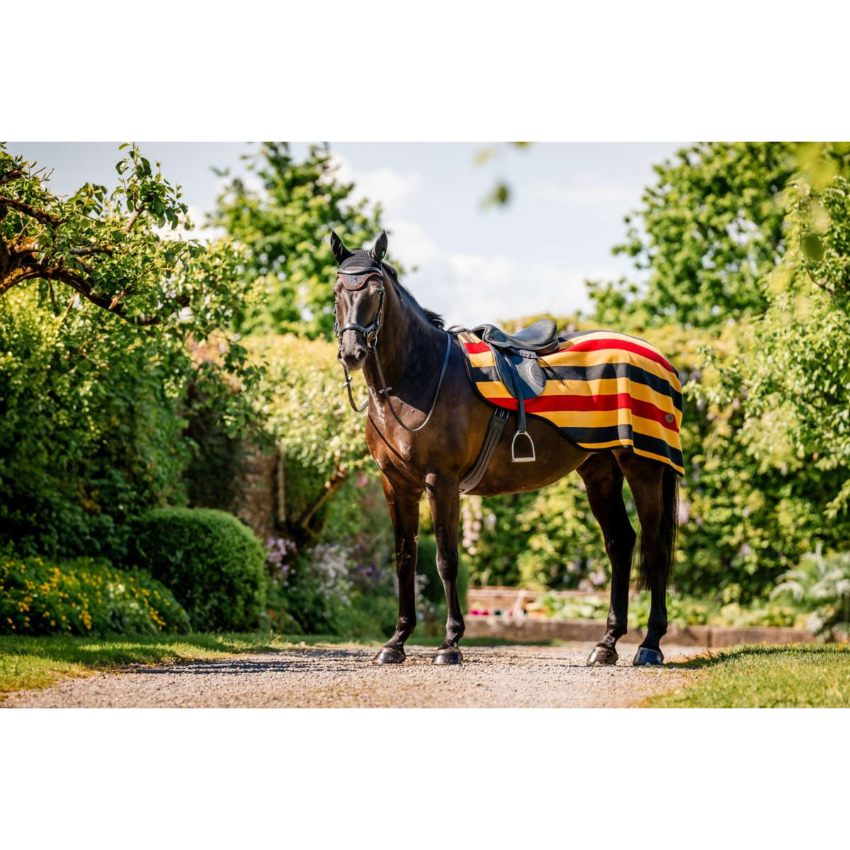 Horseware Coperta da esercizio Newmarket Witney Gold