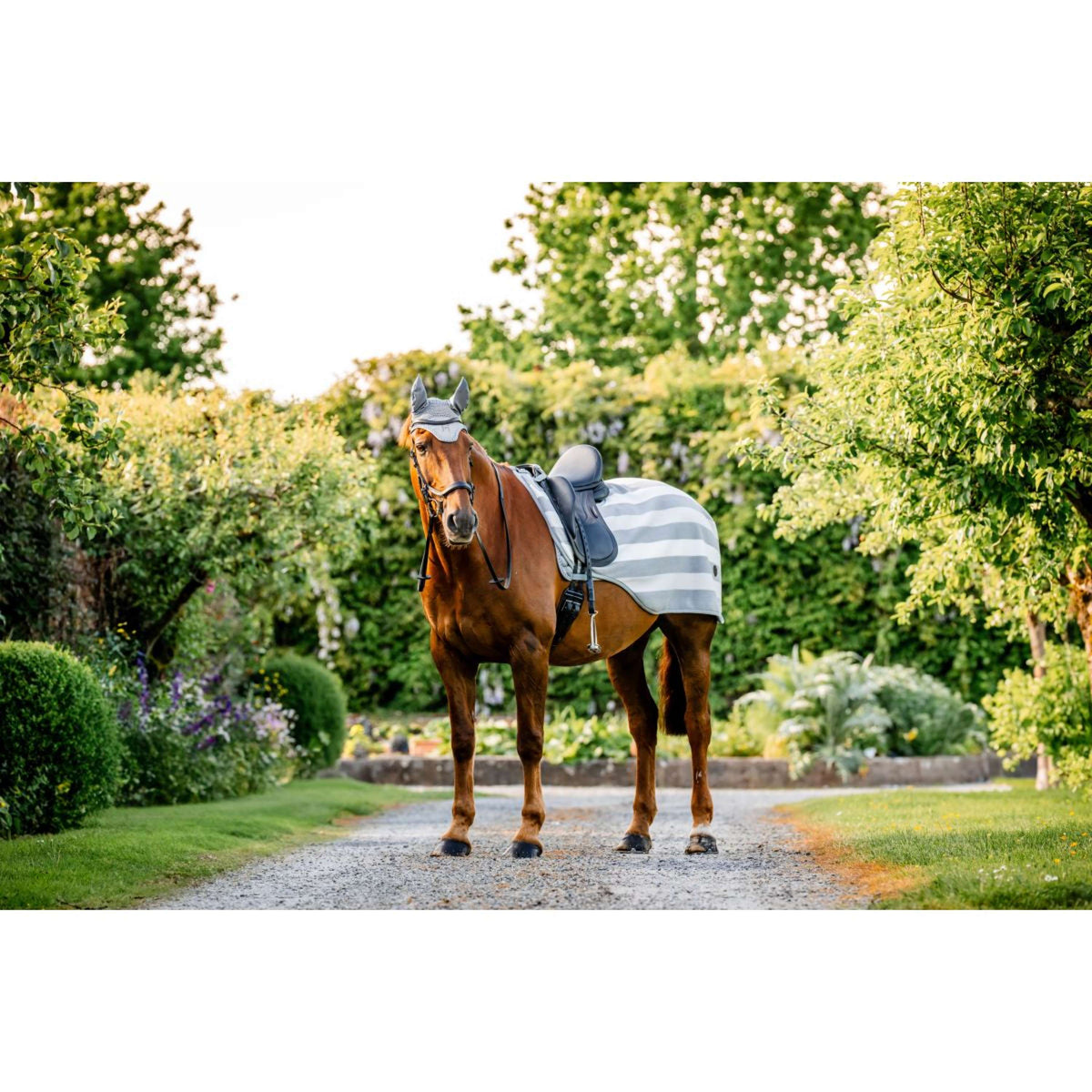 Horseware Coperta da esercizio Newmarket Witney Charcoal