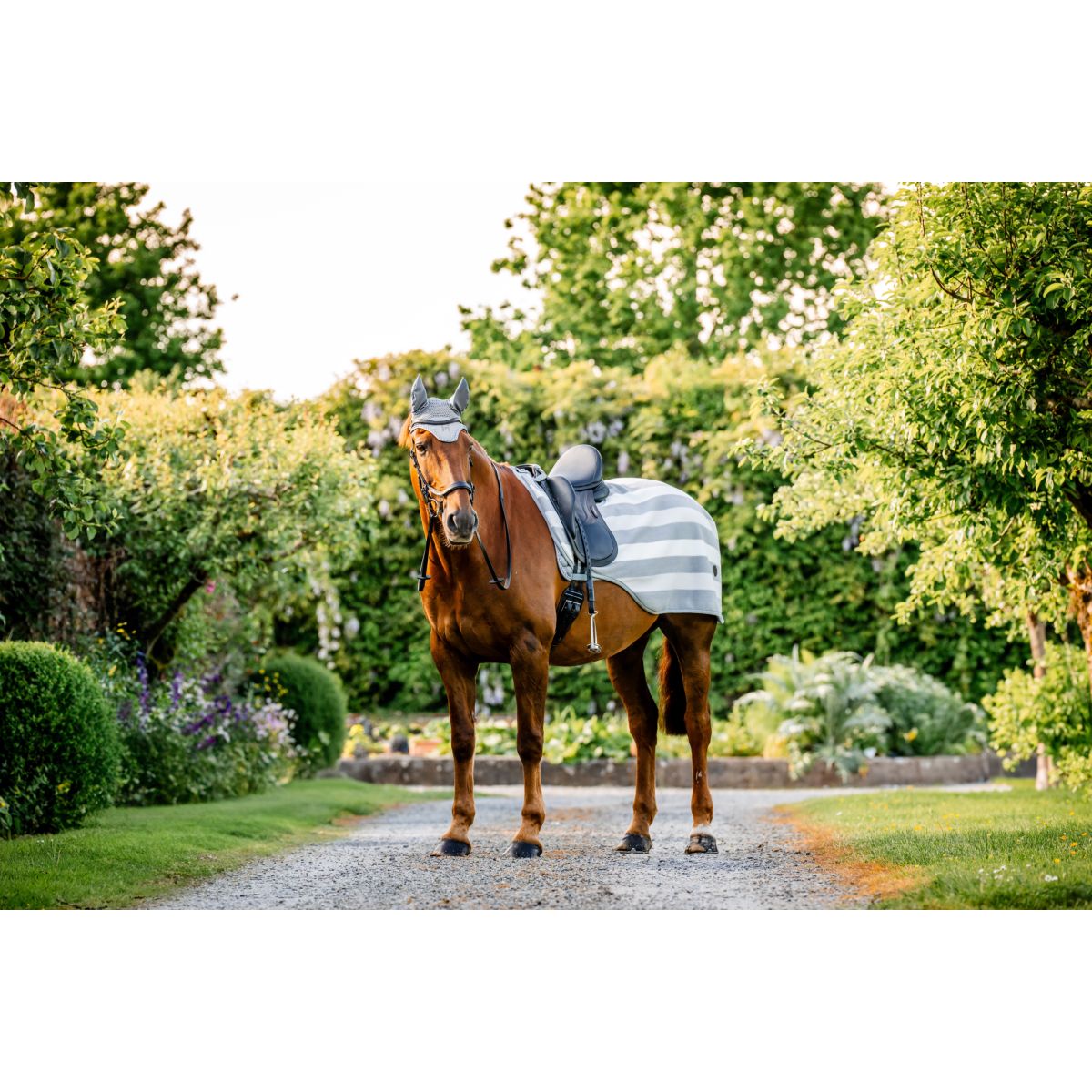 Horseware Coperta da esercizio Newmarket Witney Charcoal