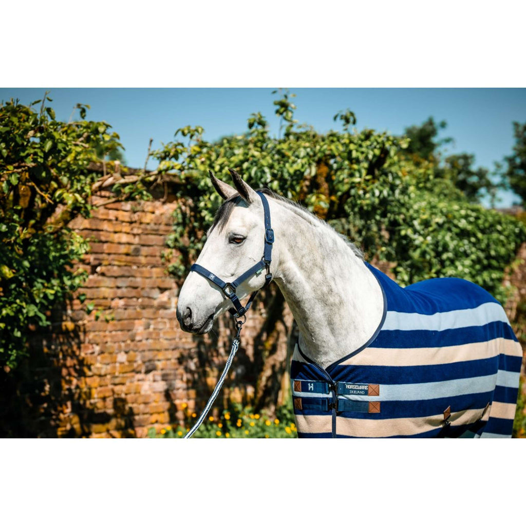 Amigo Cavezza e corda Newmarket Marina di Witney