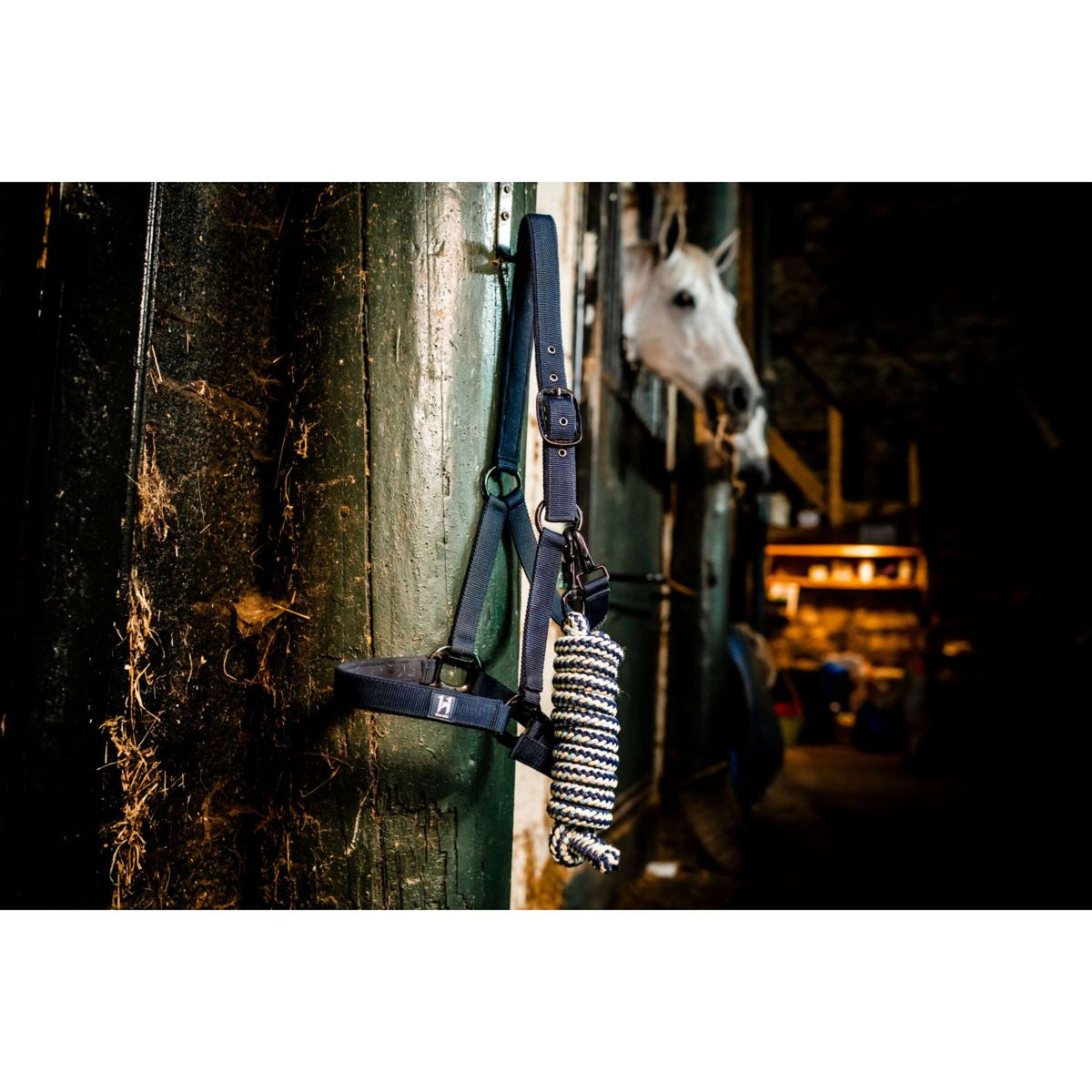 Amigo Capestro e Longhina Newmarket Marina di Witney