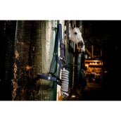 Amigo Capestro e Longhina Newmarket Marina di Witney