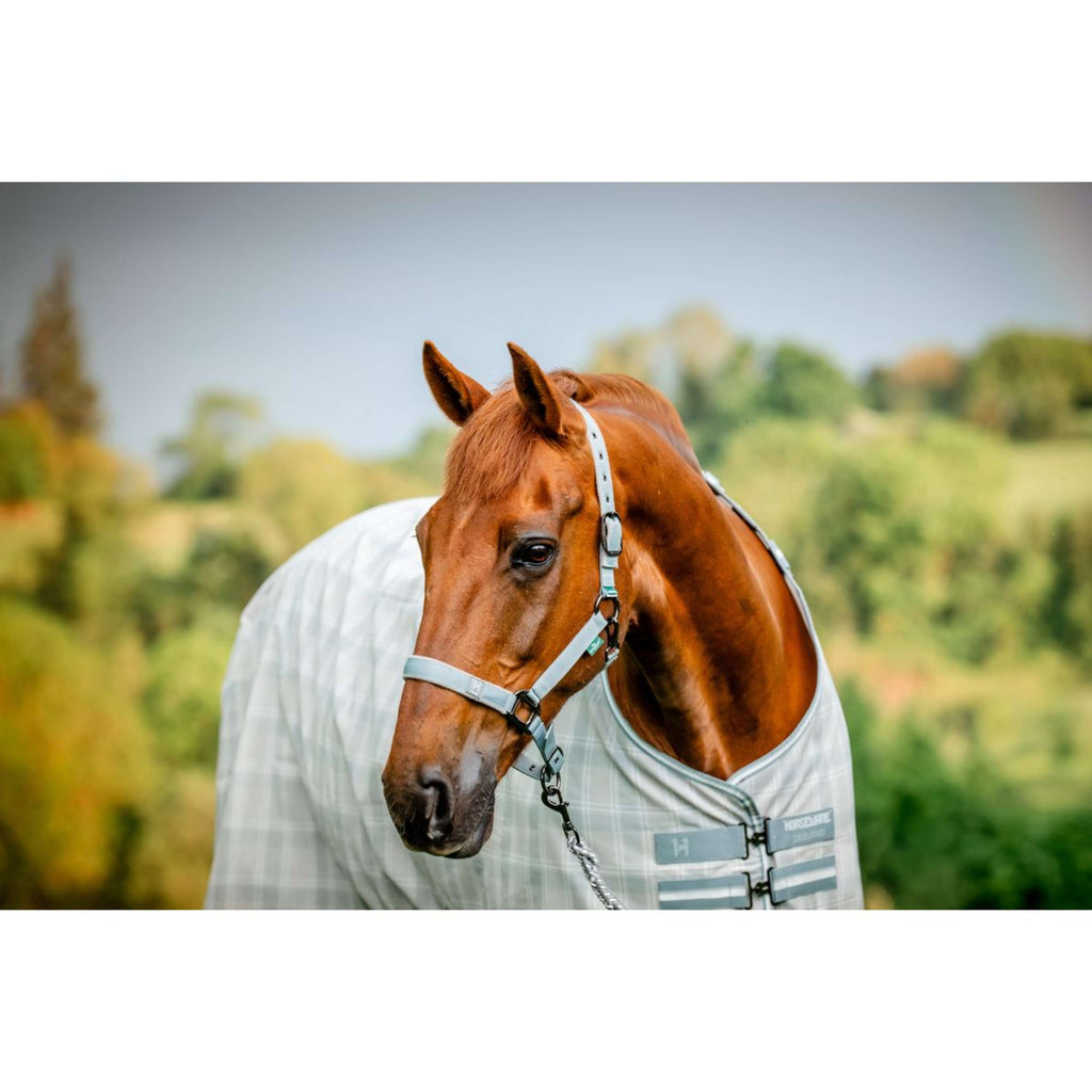 Amigo Cavezza e corda Newmarket Witney Charcoal