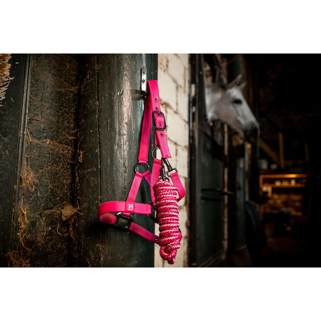 Amigo Cavezza e corda Newmarket Witney Pink