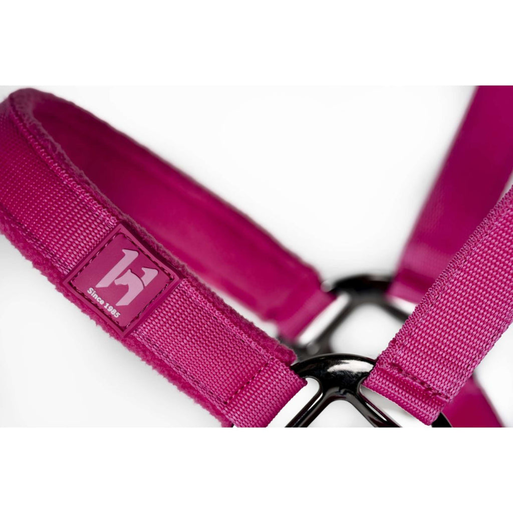 Amigo Cavezza e corda Newmarket Witney Pink