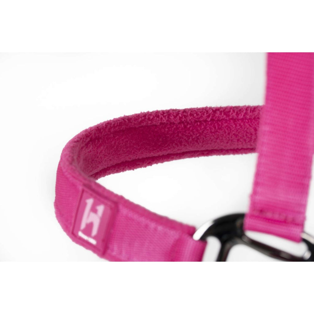 Amigo Cavezza e corda Newmarket Witney Pink