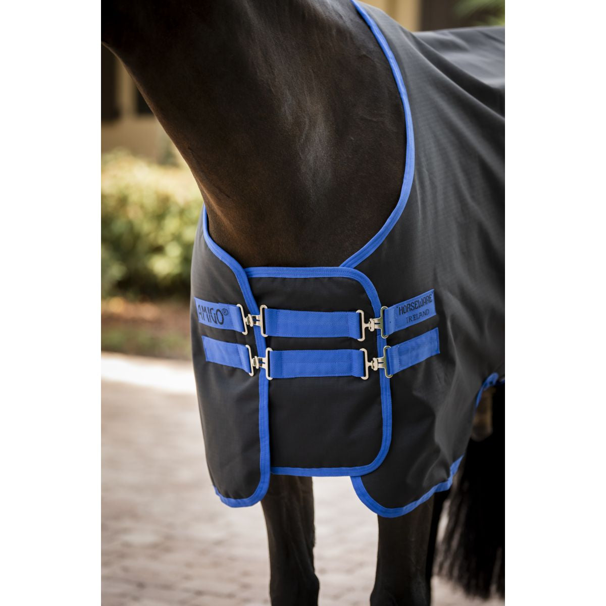Amigo Estensore toracico Black/Classic Blue