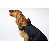 Horseware Coperta per Cani Newmarket Witney Gold