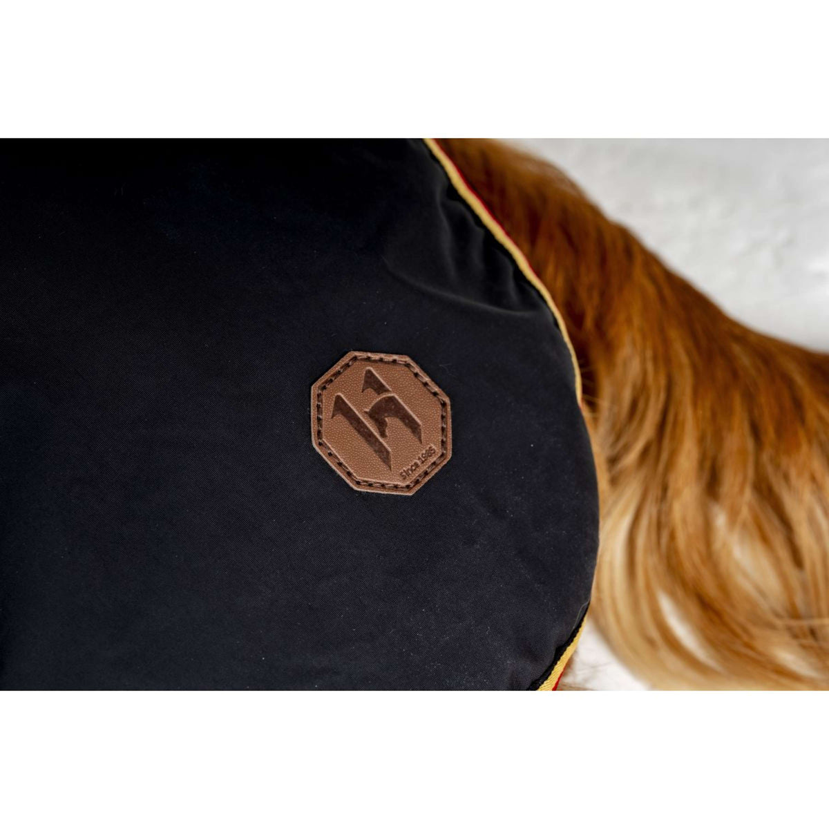 Horseware Coperta per Cani Newmarket Witney Gold
