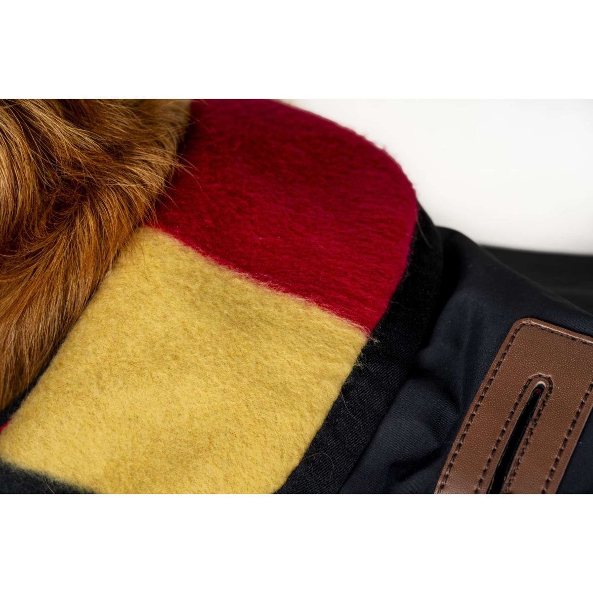 Horseware Coperta per Cani Newmarket Witney Gold