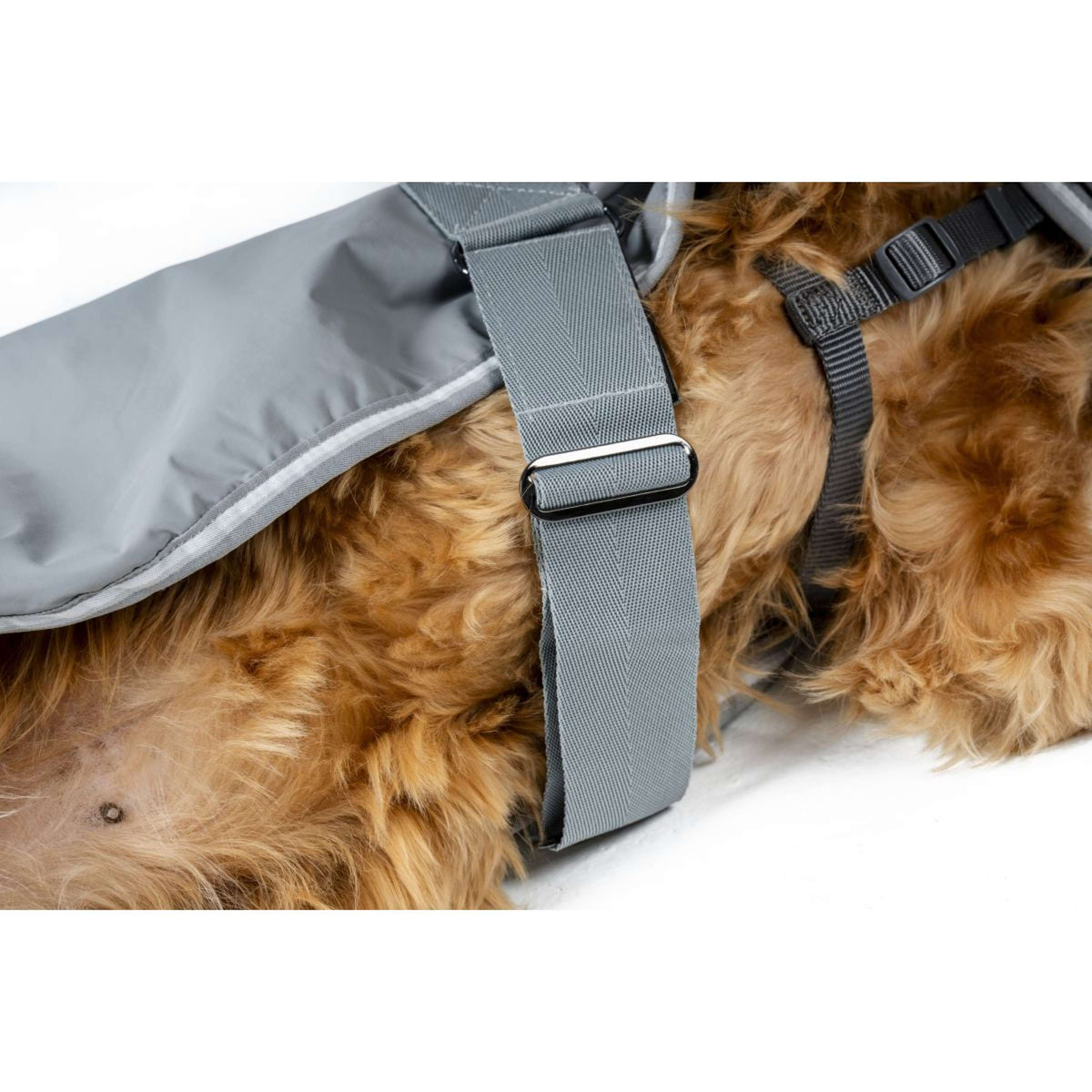 Horseware Coperta per Cani Newmarket Witney Charcoal