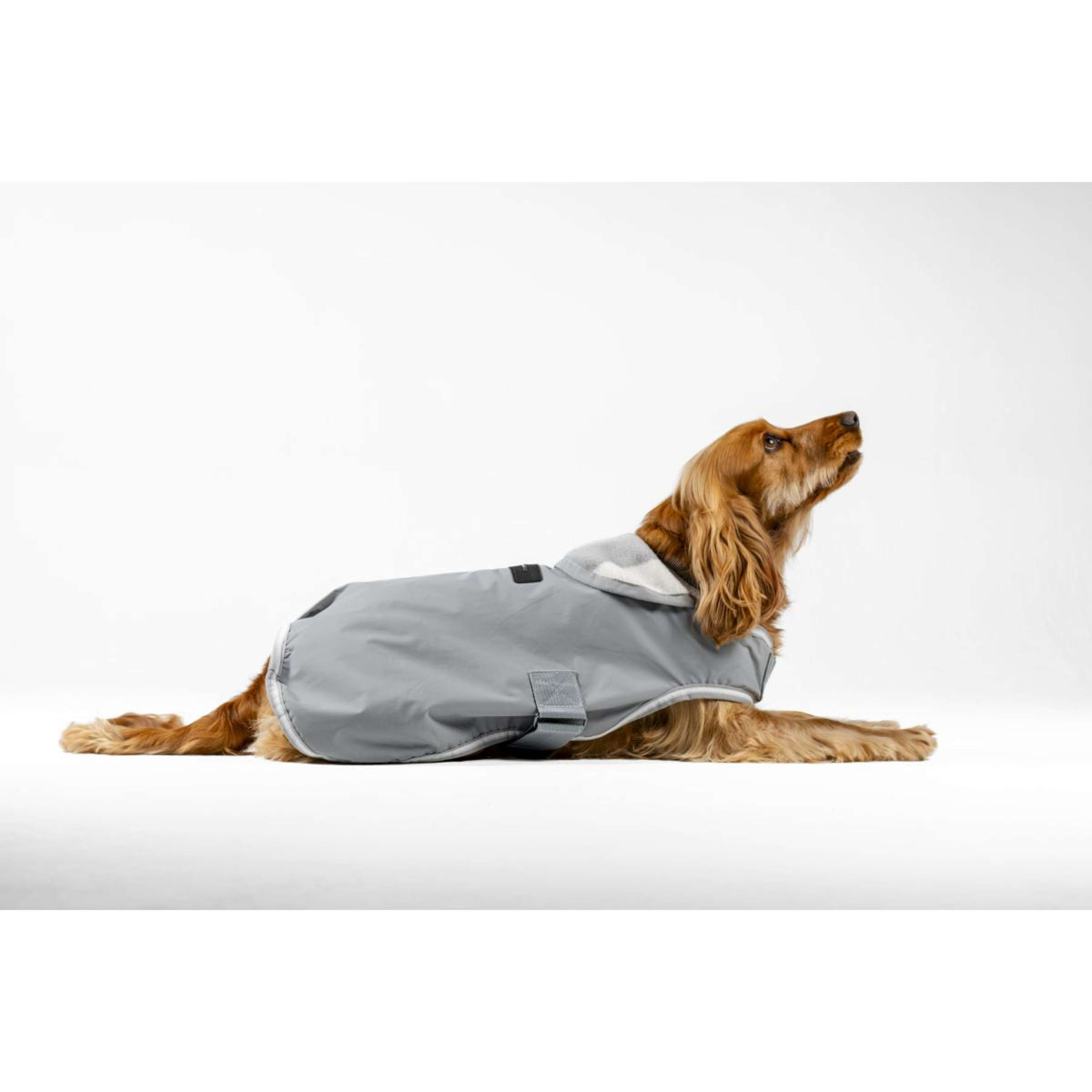 Horseware Coperta per Cani Newmarket Witney Charcoal