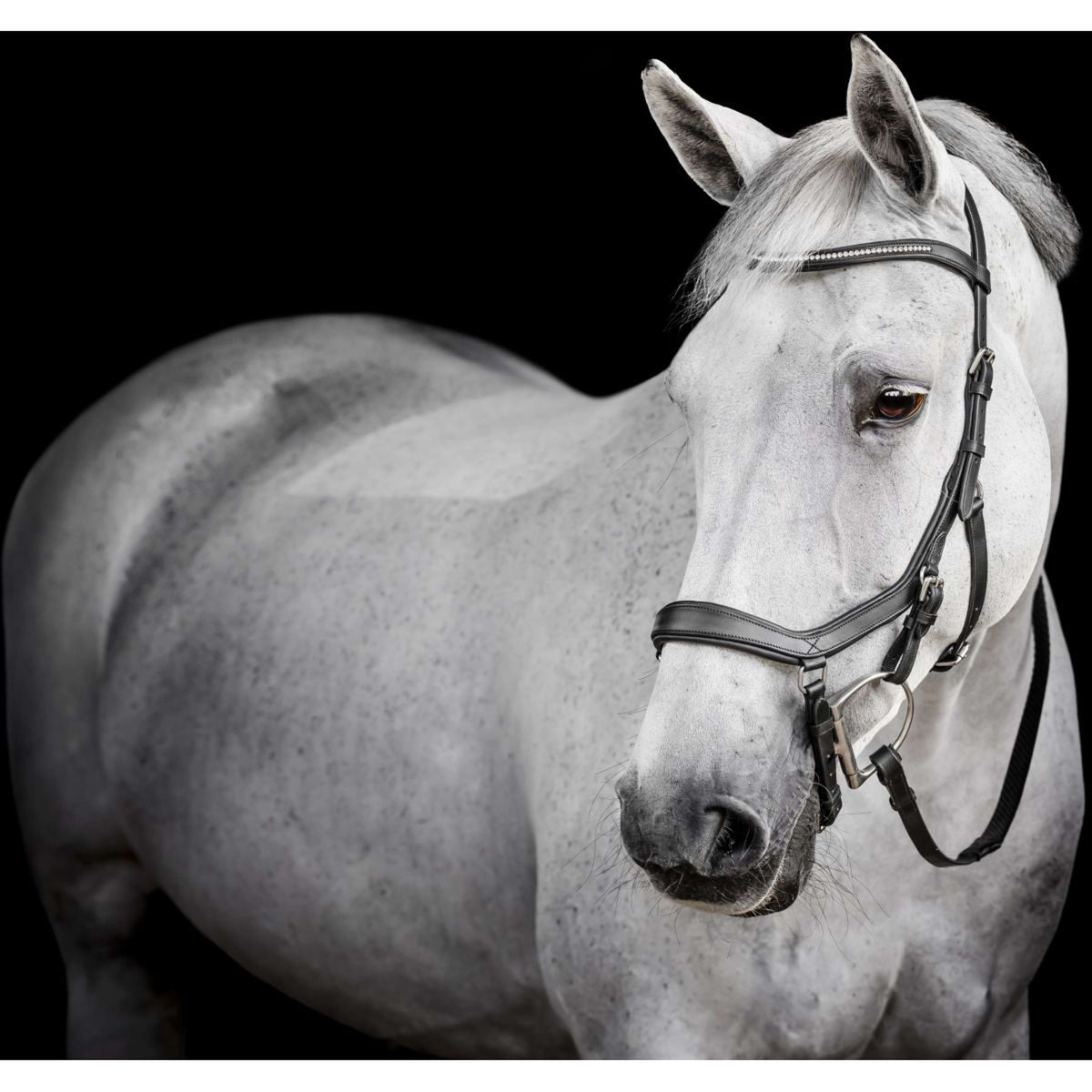 Horseware Micklem Diamante Competition Bridle Nero