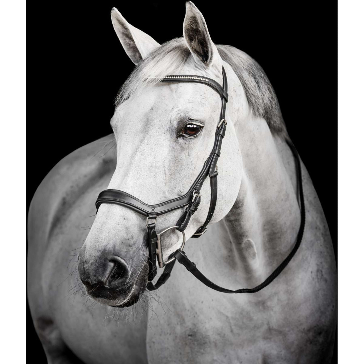 Horseware Micklem Diamante Competition Bridle Nero