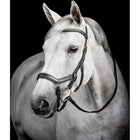 Horseware Micklem Diamante Competition Bridle Nero