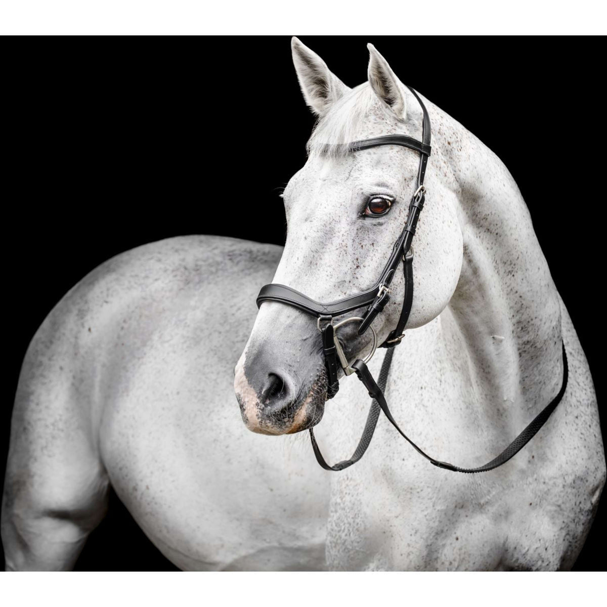 Horseware Micklem Competition Bridle Nero