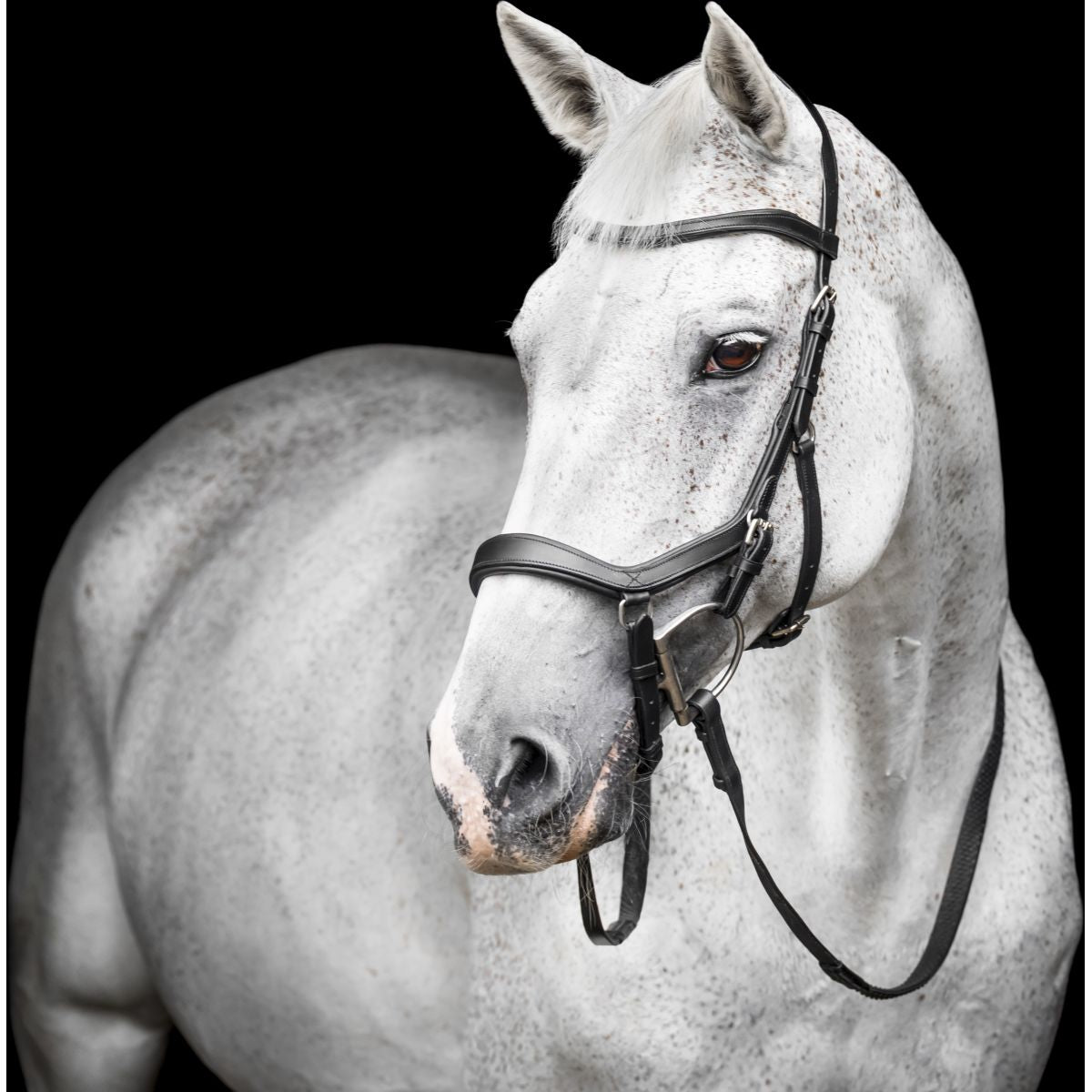 Horseware Micklem Competition Bridle Nero