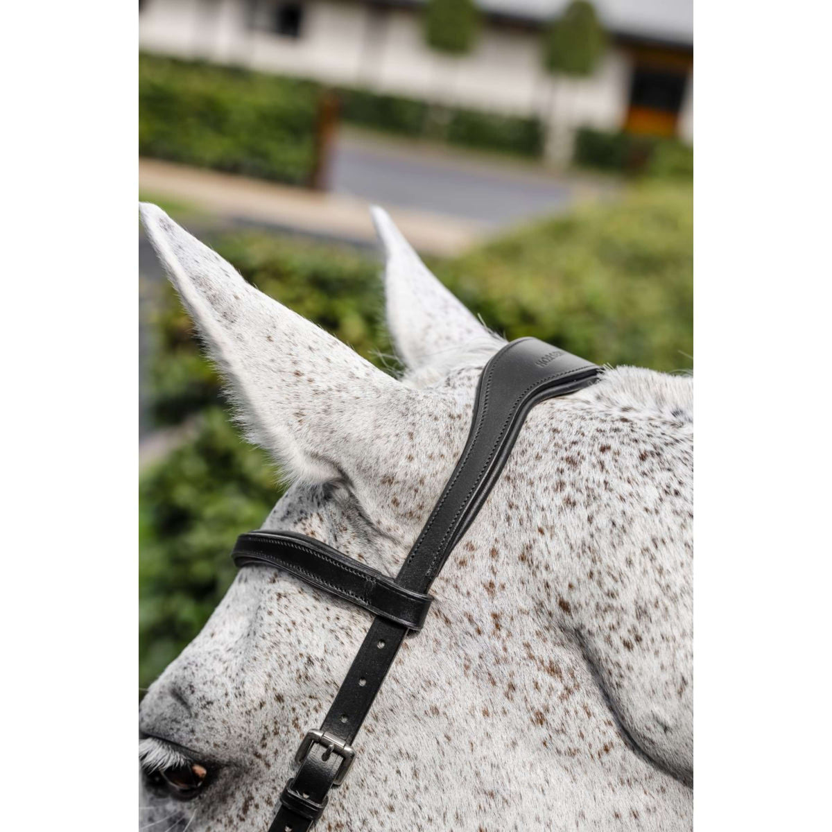 Horseware Micklem Competition Bridle Nero