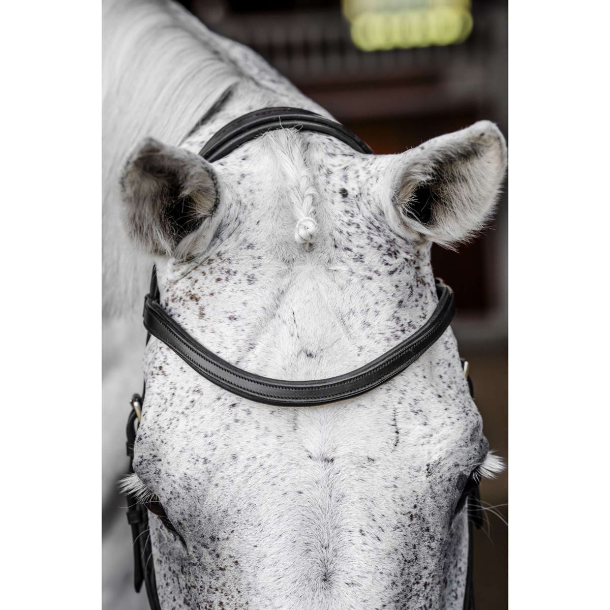 Horseware Micklem Competition Bridle Nero