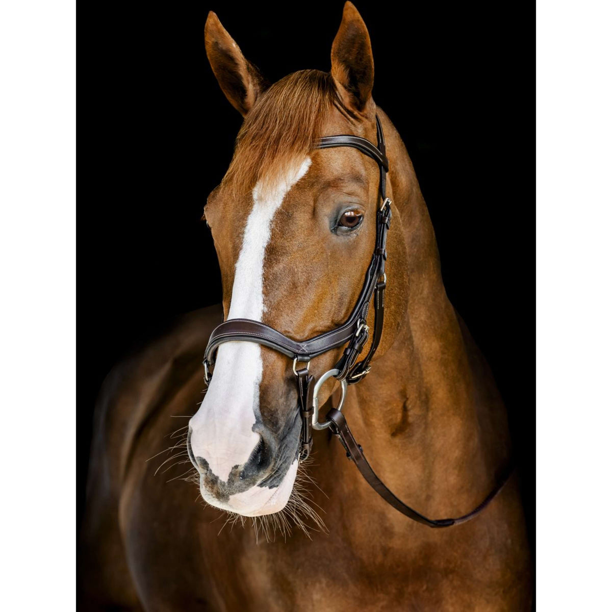 Horseware Micklem Competition Bridle Dark Havana