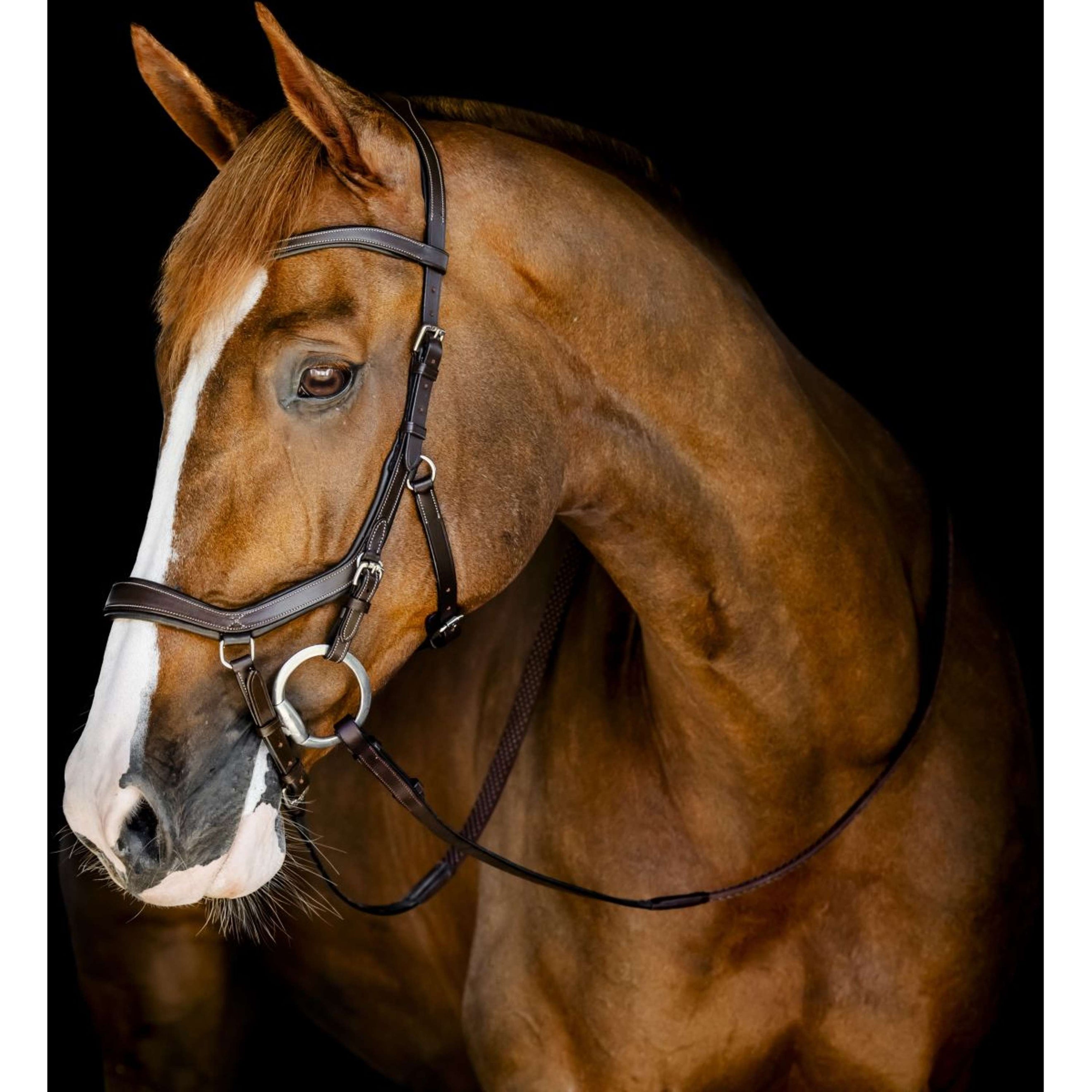Horseware Micklem Competition Bridle Dark Havana Horseware Micklem Competition Bridle Dark Havana