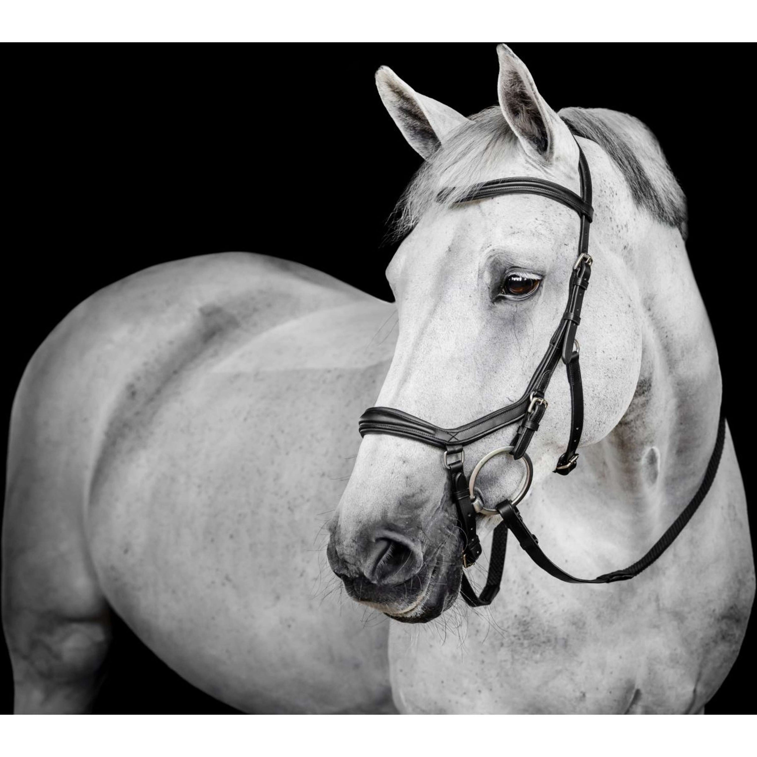 Horseware Micklem Deluxe Competition Bridle Nero Horseware Micklem Deluxe Competition Bridle Nero