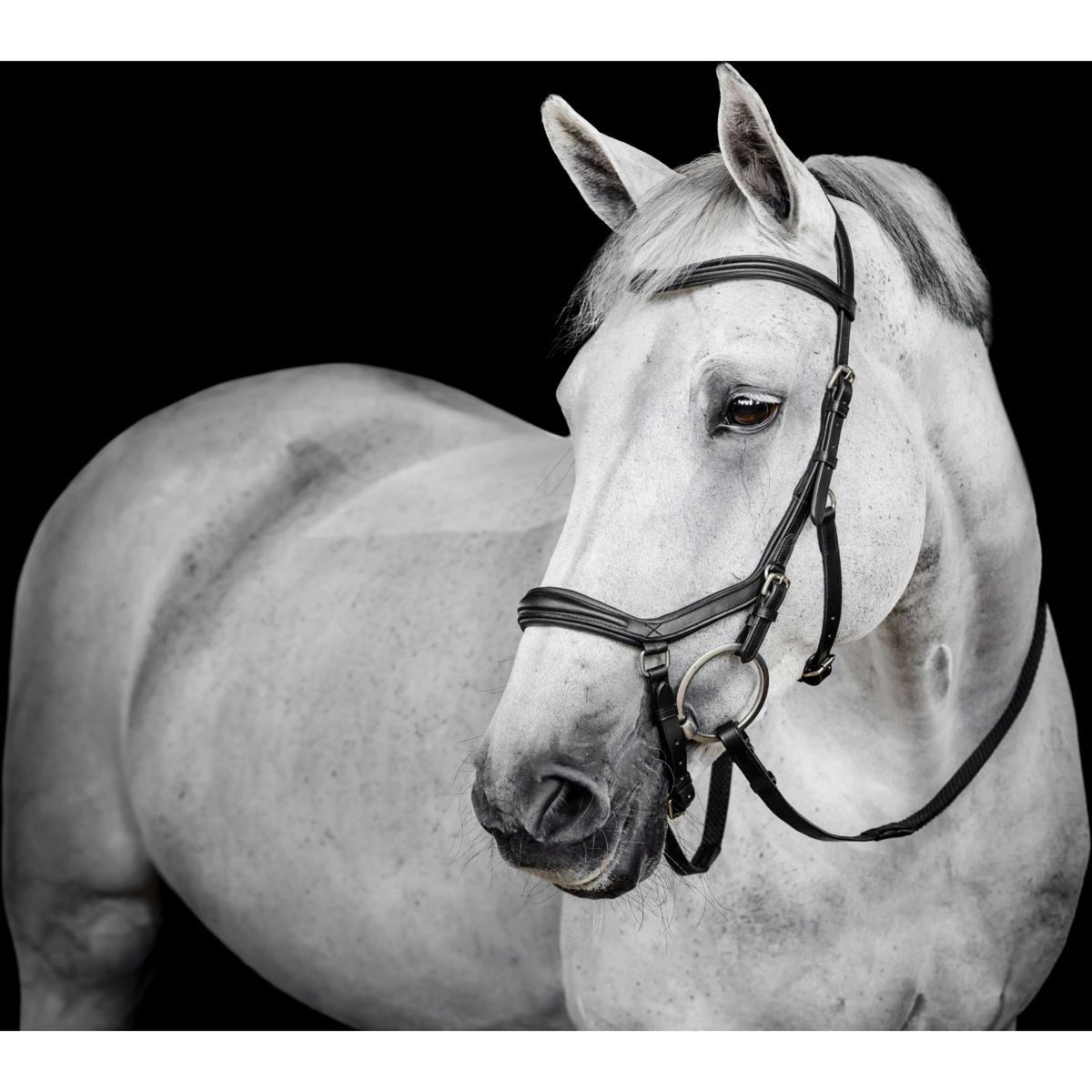 Horseware Micklem Deluxe Competition Bridle Nero