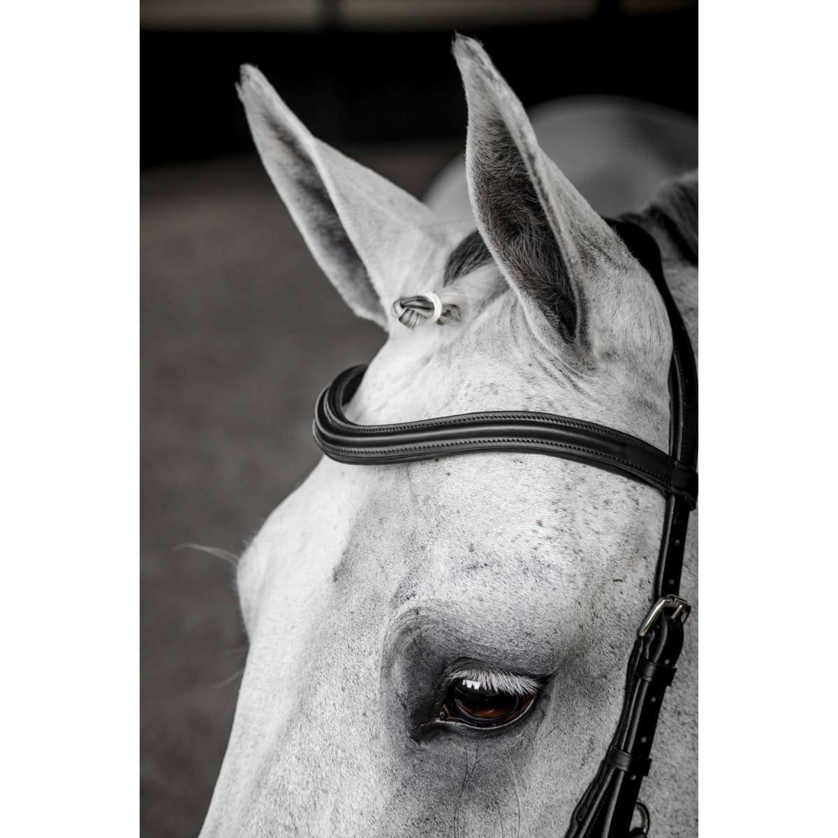 Horseware Micklem Deluxe Competition Bridle Nero