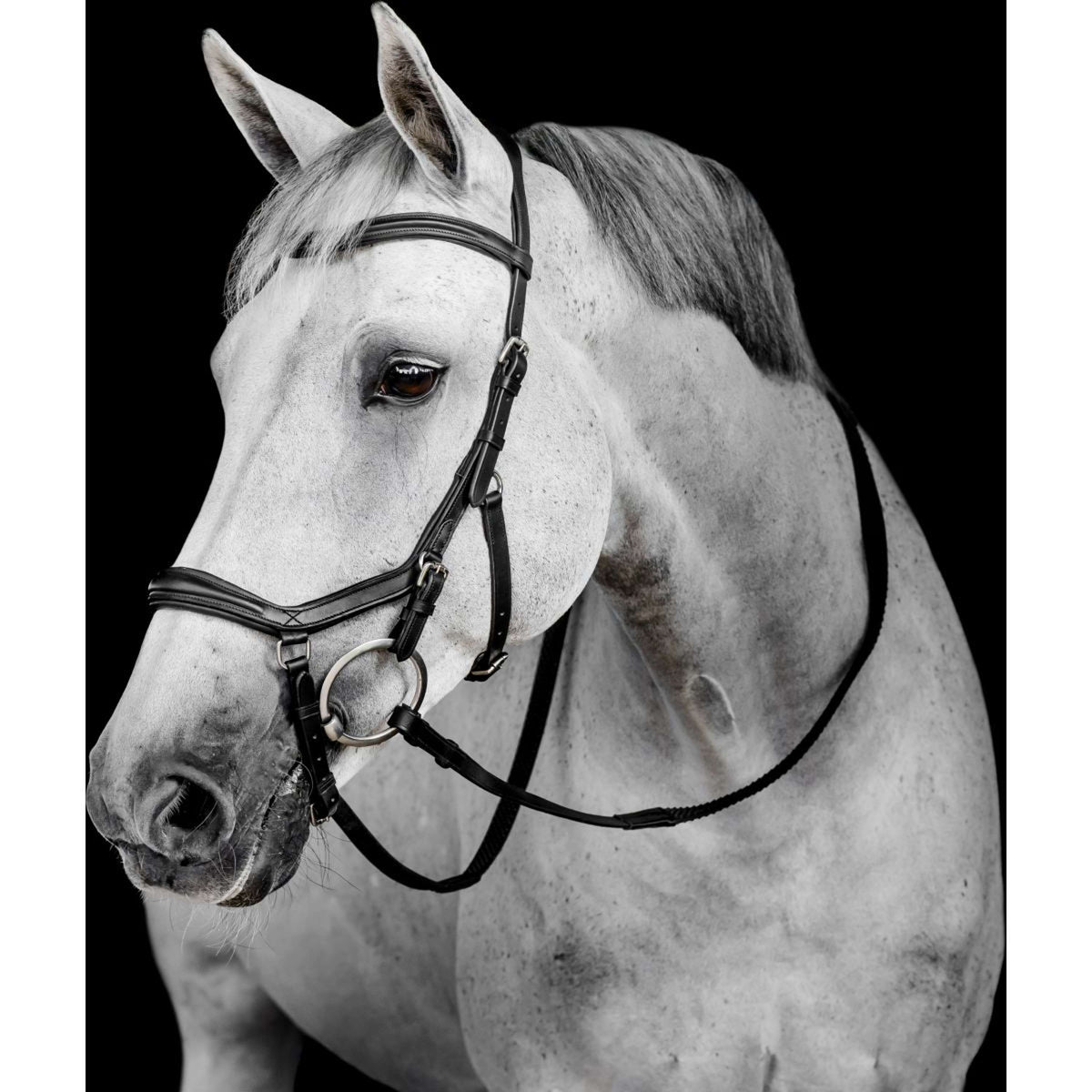 Horseware Micklem Deluxe Competition Bridle Nero