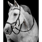 Horseware Micklem Deluxe Competition Bridle Nero