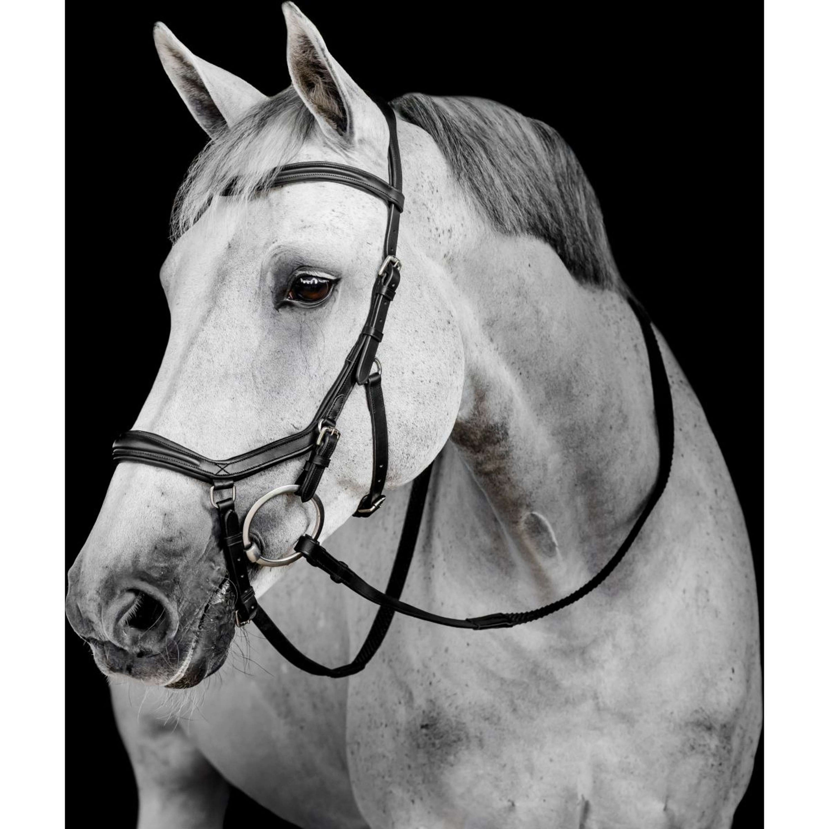 Horseware Micklem Deluxe Competition Bridle Nero
